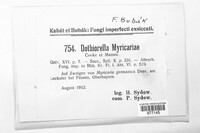 Dothiorella myricariae image
